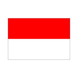 インドネシア国旗70×105cm