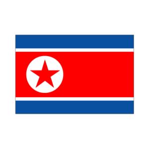 北朝鮮卓上旗