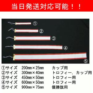 ペナントリボン トロフィーリボン ペナント60cmの商品画像