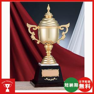 高級優勝カップ　RG-8801：ペナントの付けて持ち回りに使用できる豪華な高級優勝カップ