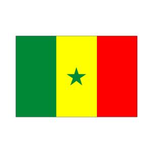 セネガル国旗90×135cm｜akai-tropfy