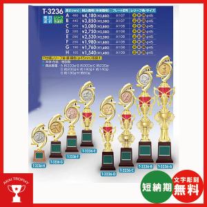 T3236C　トロフィー 1本柱トロフィー 文字彫刻無料