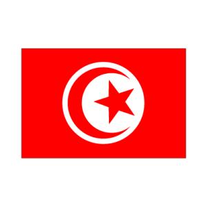 チュニジア卓上旗