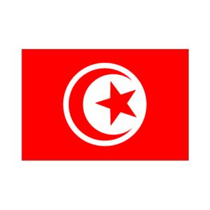 チュニジア 国旗