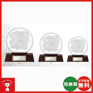 クリスタル楯　VS5001B：社内表彰・企業表彰・周年記念・コンテスト用に高級感あるガラス製トロフィー・クリスタルトロフィー｜akai-tropfy