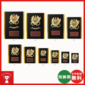 一般楯　盾　VS5158F　表彰楯