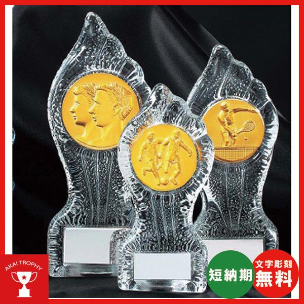 レリーフ交換式クリスタル楯　VSX3617C：社内表彰・企業表彰・周年記念・コンテスト用に高級感ある...