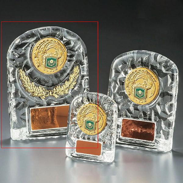 自衛隊用楯　盾　VSX5501A：勇退記念・退職記念にオススメの自衛隊用楯　優勝楯