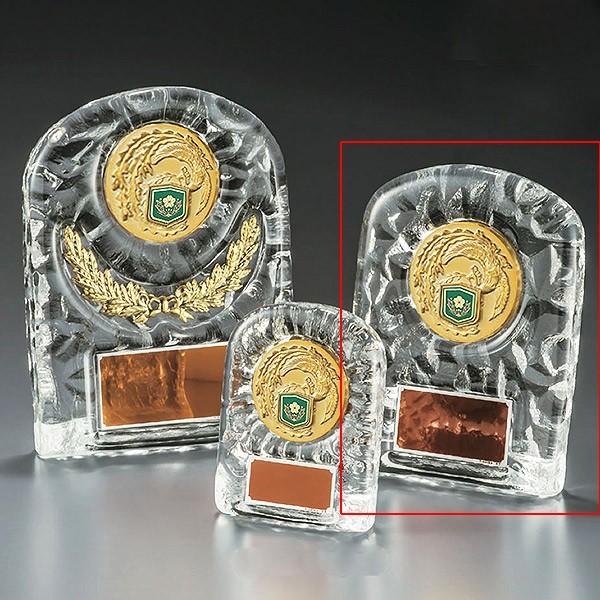 自衛隊用楯　盾　VSX5501C：勇退記念・退職記念にオススメの自衛隊用楯　優勝楯