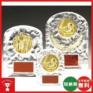 レリーフ交換式クリスタル楯　VSX5501D：社内表彰・企業表彰・周年記念・コンテスト用に高級感あるガラス製楯・クリスタル楯