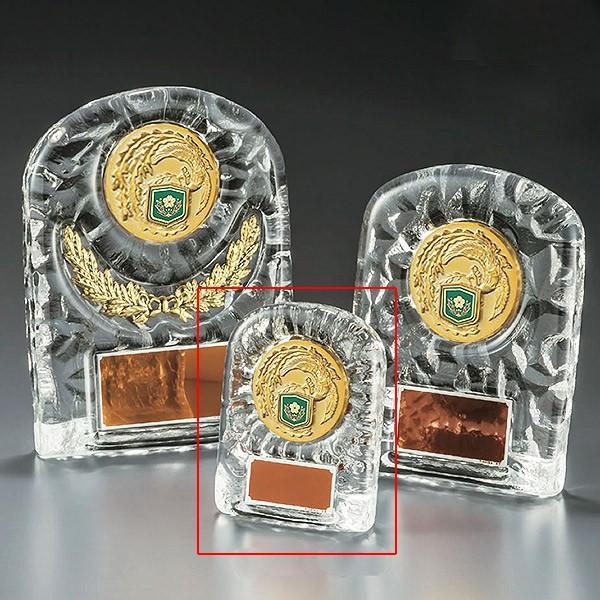 自衛隊用楯　盾　VSX5501D：勇退記念・退職記念にオススメの自衛隊用楯　優勝楯