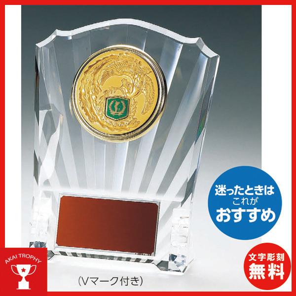 レリーフ交換楯Vマーク付き VSX5533C 卒業記念