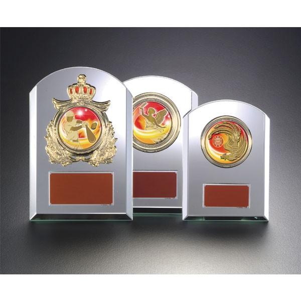 盾 VSX.5544-DM-A　(レリーフ交換式楯　各種競技も対応) メダルデジカラーエポ