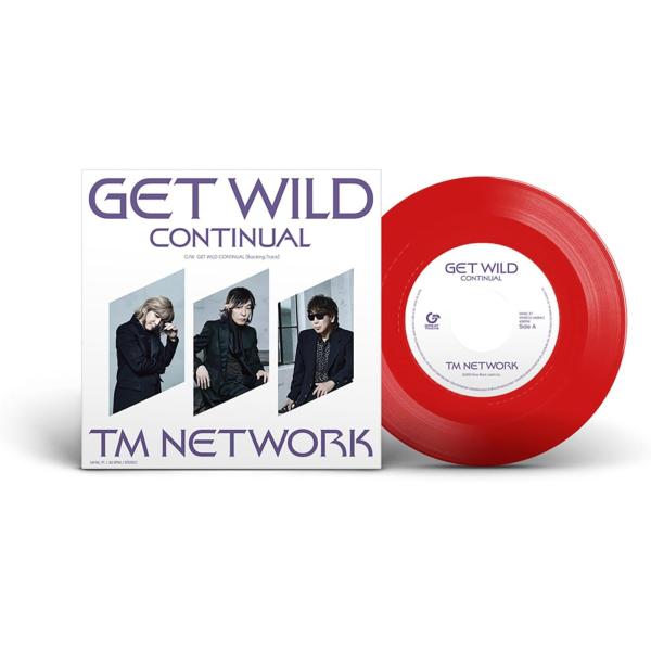 【新品】 Get Wild Continual 完全生産限定アナログ盤 ANALOG TM NETW...