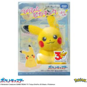 ポケットモンスター ポケモン30周年記念 おかえり!ピカチュウ1/1