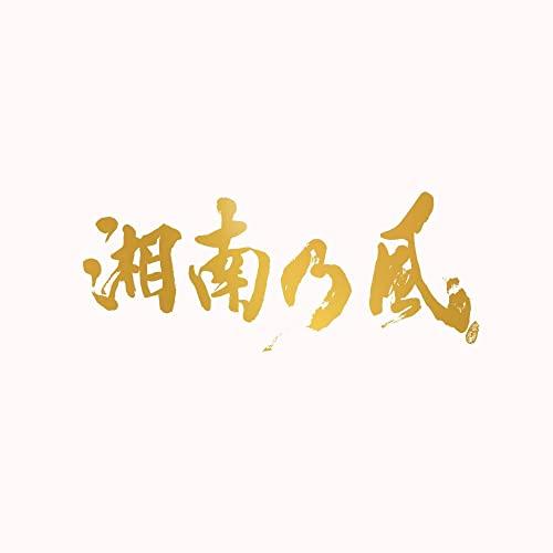 【新品】 湘南乃風 -20th Anniversary BEST- 初回生産限定盤 DVD付 CD ...