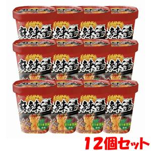 1ケース】ISDG 医食同源ドットコム 即席春雨 麻辣湯×12個セット
