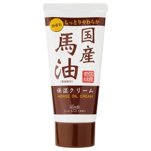 ロッシ モイストエイド 馬油 EXスキンクリームBA 100g : サンドラッグe