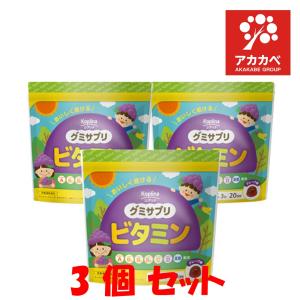 アカデミア酵母 健康補助食品　60包×3箱 アカデミア酵母 60包 : MRHストア - 通販 - Yahoo!ショッピング