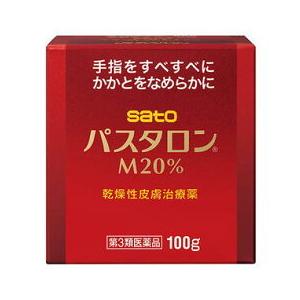 パスタロンM20%100Gの商品画像