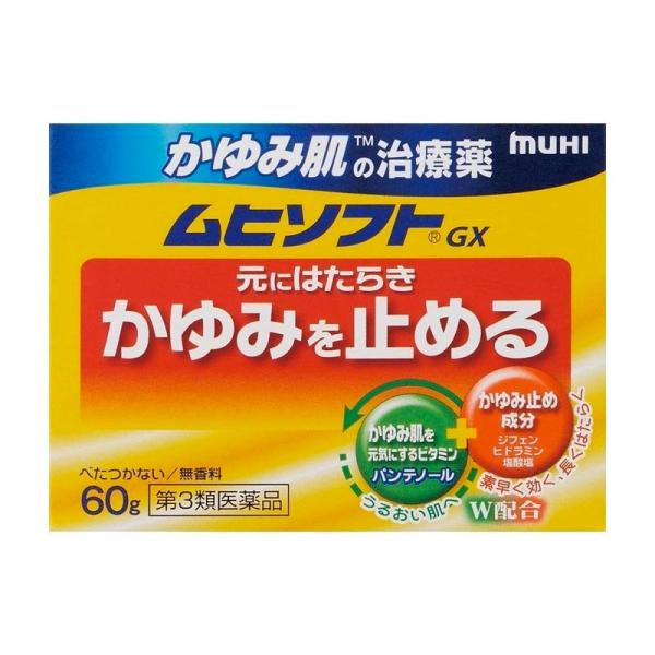【第3類医薬品】★かゆみ肌の治療薬 ムヒソフトＧＸ(60g)