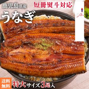 うなぎ 国産 熨斗対応 鹿児島県産 特大うなぎ蒲焼3尾入（約660ｇ/3尾） 丑の日 土用丑 土用かば焼き 200g以上の特大うなぎ 鰻 ウナギ あかまる専稼｜akamaru-senka