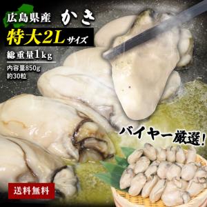 広島県産 冷凍かき 2L 総重量1kg 約 30粒 （内容量850g） 特大 2Lサイズ かき カキ 牡蠣 冷凍 冷凍牡蠣 むき牡蠣 海鮮 あかまる専稼の商品画像