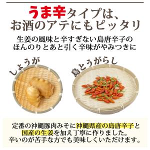 【送料込み】沖縄豚肉みそ&うま辛 選べる3パッ...の詳細画像3