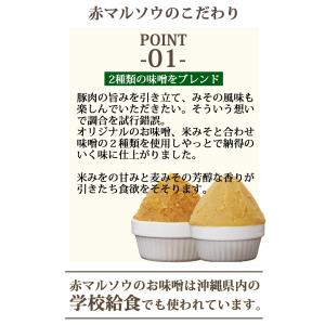 【送料込み】沖縄豚肉みそ&うま辛 選べる3パッ...の詳細画像5
