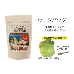 【送料込み】ウージパウダー 50g×2個 送料...の詳細画像1