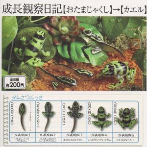 成長観察日記 【おたまじゃくし】 → 【カエル】 全5種セット - 最安値