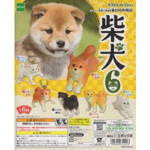 カプセルコレクション 柴犬6/全6種フルセット/エポックの商品画像