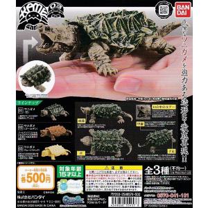 BIG ソフビ フィギュア リアル ワニガメ (約26cm) : おもちゃの