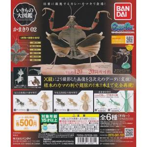 いきもの大図鑑 かまきり02【マルムネカレハカマキリ(ダーク