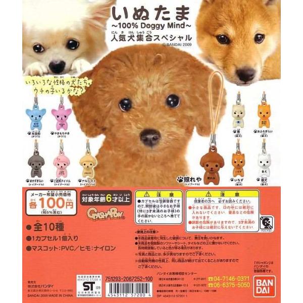 ■いぬたま〜100%DoggyMind〜人気犬集合スペシャル■全10種（メール便可能）