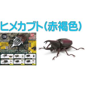 ヘラクレス・リッキー改（オレンジ）】 いきもの大図鑑