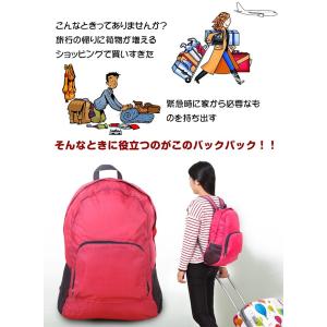 折りたたみ リュック 折り畳み 軽量 登山 エ...の詳細画像1