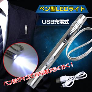 ペン型 LED ライト コンパクト ステンレス 明るい ＵＳＢ 充電 懐中電灯 防災 作業灯 警告灯 クリップ ストラップ  ad231