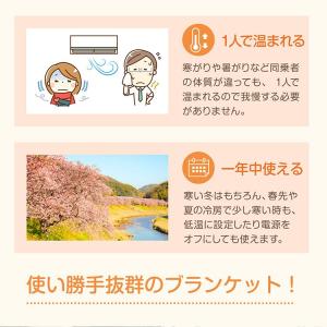 電気毛布 掛け毛布 ひざ掛け 車用 電気ブラン...の詳細画像4