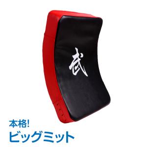 ヒットバッグ Aタイプ タックルダミー タックル練習 ラグビー