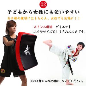 スポーツバッグ ボクシング キックミット スポ...の詳細画像5