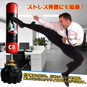 サンドバックスタンド サンドバック ダイエット...の詳細画像2