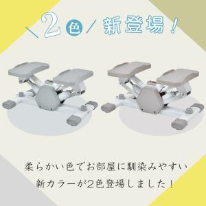 ステッパー 静音 ツイスト ダイエット 高齢者...の詳細画像1