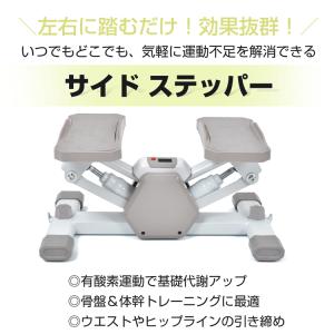 ステッパー 静音 ツイスト ダイエット 高齢者...の詳細画像2