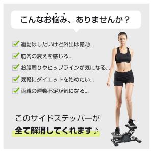 ステッパー 静音 ツイスト ダイエット 高齢者...の詳細画像3