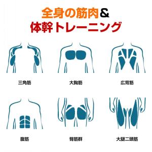 腹筋ローラー 自動リバウンド プランクローラー...の詳細画像3