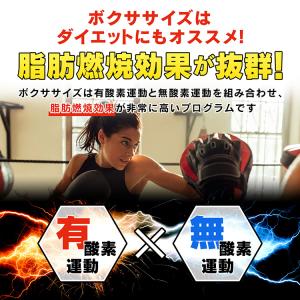 サンドバッグ スタンド 子供 自宅 自立 空手...の詳細画像2