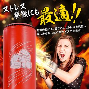 サンドバッグ スタンド 子供 自宅 自立 空手...の詳細画像3