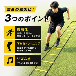 ラダー 練習 5m トレーニングラダー 8マス...の詳細画像2