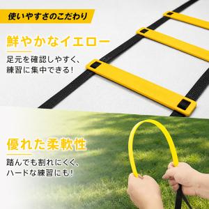 ラダー 練習 5m トレーニングラダー 8マス...の詳細画像5